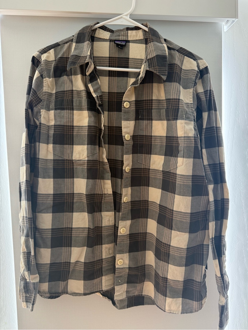 Patagonia Button-Down Shirt